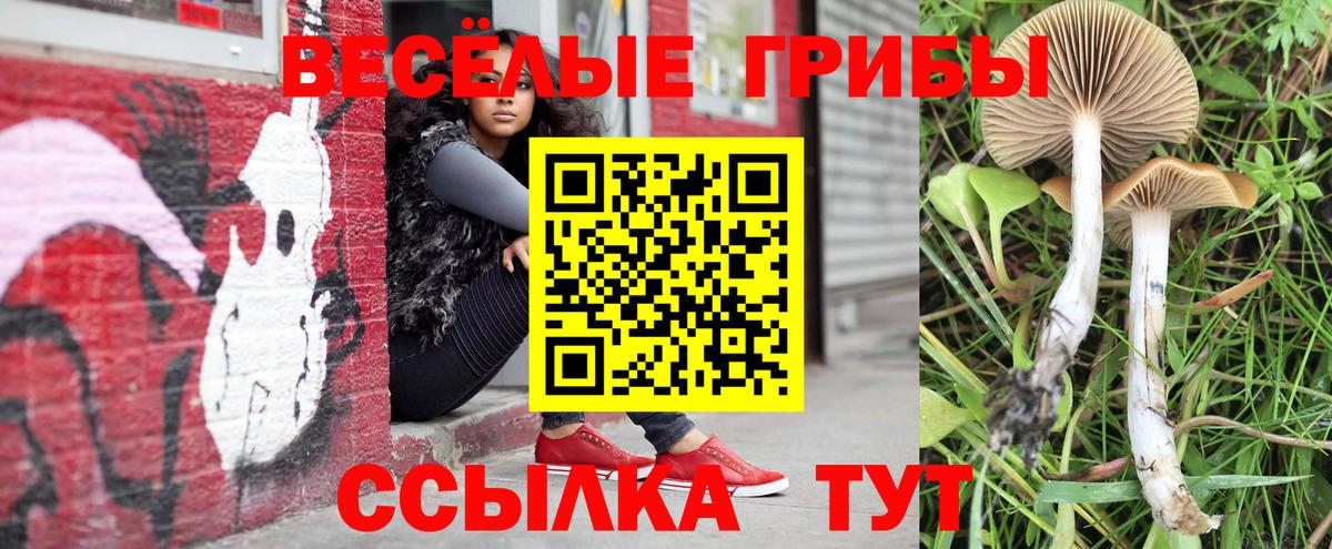 Галлюциногенные грибы Magic Shrooms Ивантеевка